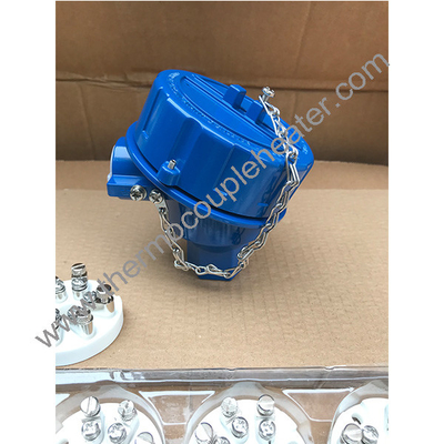 azul à prova de explosão Cabeça do termoparo Bp5e à prova de explosão