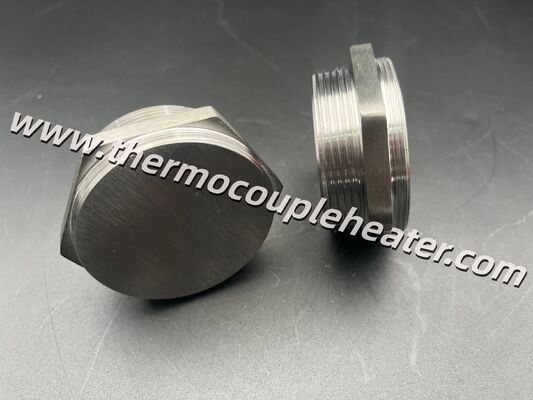 Custom SS304 Threaded Screw Plug Flange For Immersion Heater With Matching Terminal Box