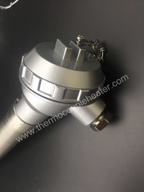 Choque a RTD resistente do par termoelétrico 1500°C com o tubo da proteção de NSIC