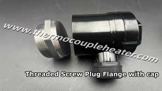 Flange de plugue roscado SS304 personalizado para aquecedor de imersão com tampa de plástico correspondente
